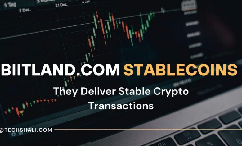 biitland.com Stablecoins