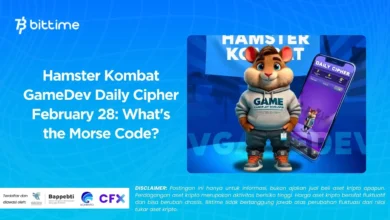 Hamster Kombat Daily Cipher