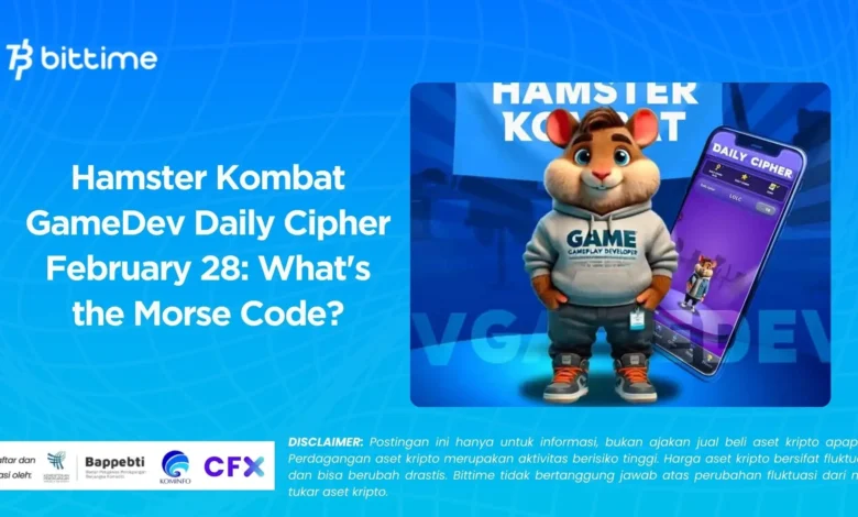 Hamster Kombat Daily Cipher