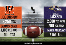Bengals vs Baltimore Ravens Match Player Stats