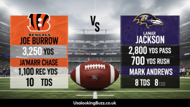 Bengals vs Baltimore Ravens Match Player Stats